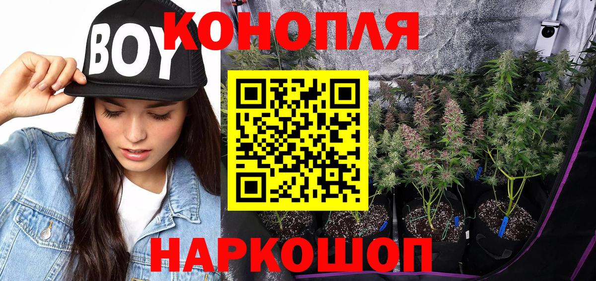 Шишки марихуана THC 21%  Марихуана тримм  Сокол  Вход с VPN  Шишки марихуана OG Kush 